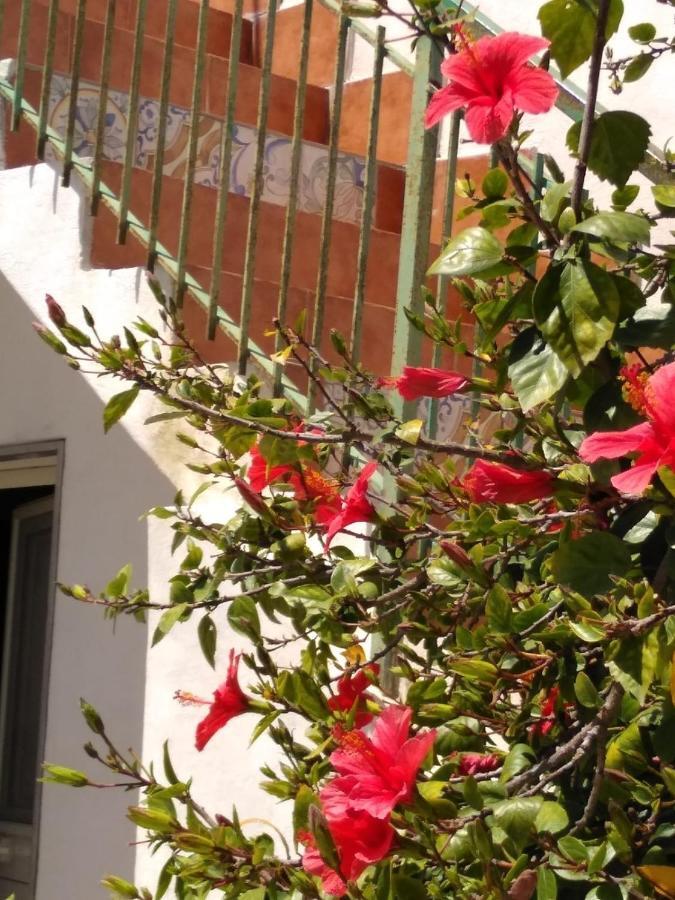 Вилла Casale Hibiscus Санта-Мария-дель-Фокалло Экстерьер фото